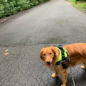 Meet your Posher, Sm